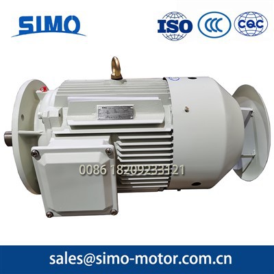 2 Pole Induktion Motor-simo Ye3-Serie