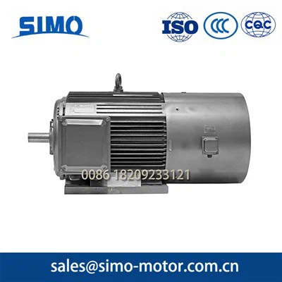 YVFE4 effizientesten Elektromotor